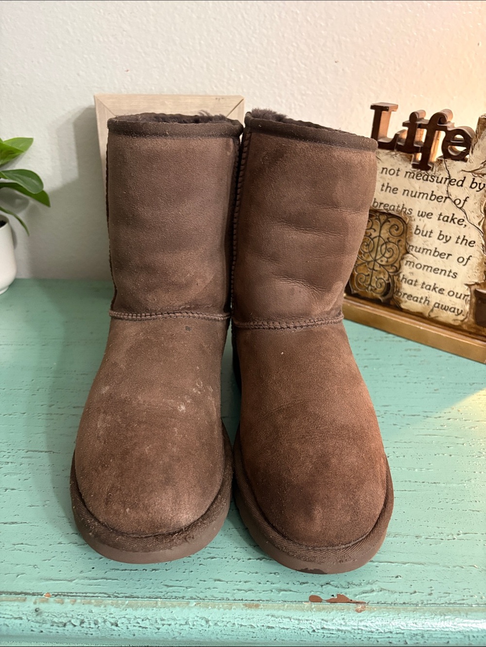 UGG Brown Suede Short Winter Boots with Plush Lining